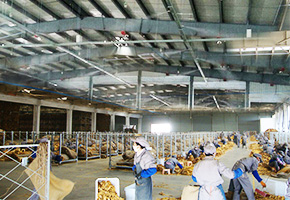 星欧注册为四川攀枝花烟草公司提供烟叶工厂仓库喷雾加湿系统方案