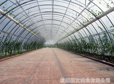 星欧注册浙江米果果小镇喷雾降温造景案例