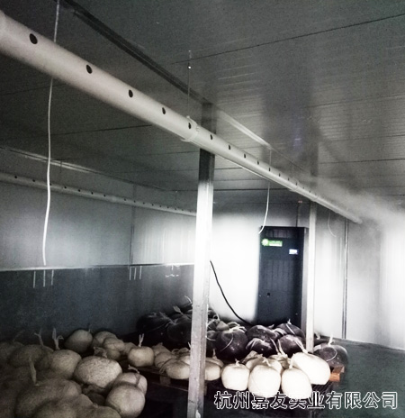 杭州星欧-超声波加湿器