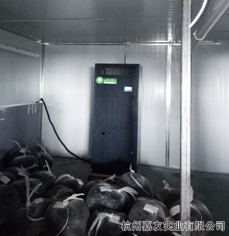 杭州星欧恒湿机