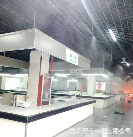 星欧注册喷雾降温设备安装图片2